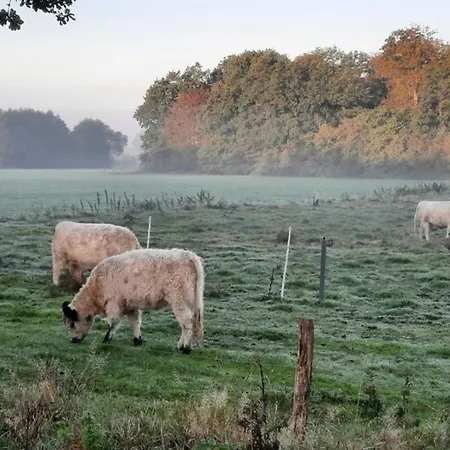 Holiday home 08 Premium Pod 