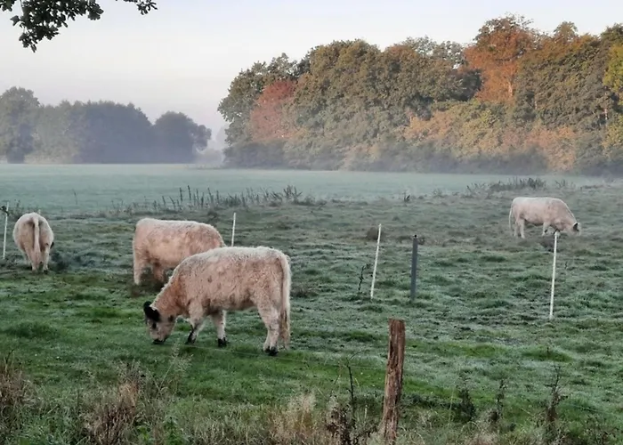 Dom wakacyjny 08 Premium Pod 